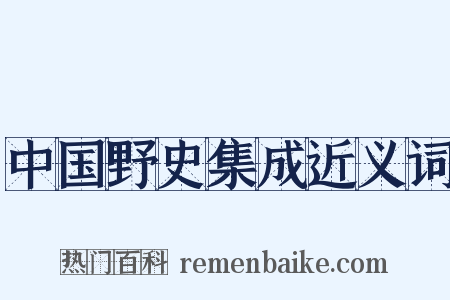中国野史集成近义词是什么意思的图片